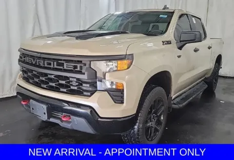 Beige 2023 Chevrolet Silverado 1500 Custom Trail Boss for sale in Denton, TX