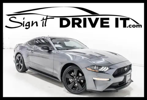 Gray 2022 Ford Mustang EcoBoost for sale in Denton, TX