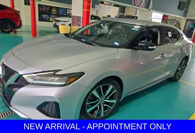 Silver 2019 Nissan Maxima 3.5 SV for sale in Denton, TX