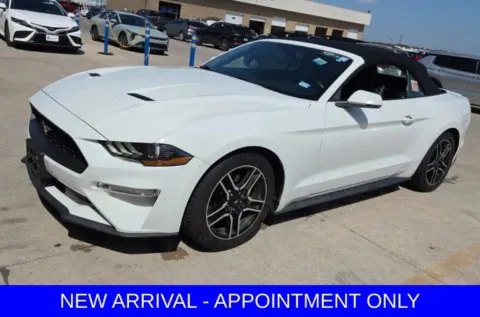 White 2019 Ford Mustang EcoBoost Premium for sale in Denton, TX