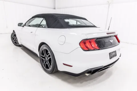 More photos of 2019 Ford Mustang EcoBoost Premium at Sign It Drive It, TX
