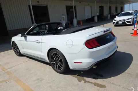 Another view of 2019 Ford Mustang EcoBoost Premium for sale in Denton, TX at Sign It Drive It