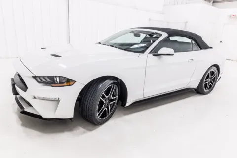 Photos of 2019 Ford Mustang EcoBoost Premium for sale in Denton, TX at Sign It Drive It