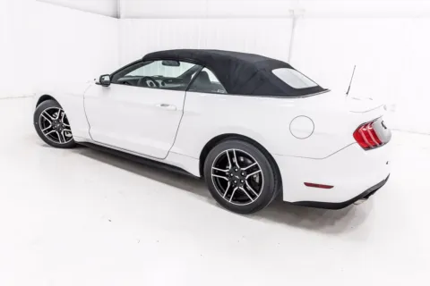 More photos of 2019 Ford Mustang EcoBoost Premium at Sign It Drive It, TX
