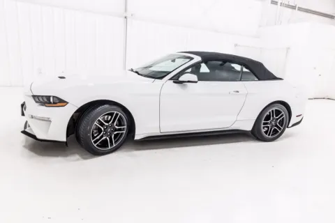 Another view of 2019 Ford Mustang EcoBoost Premium for sale in Denton, TX at Sign It Drive It