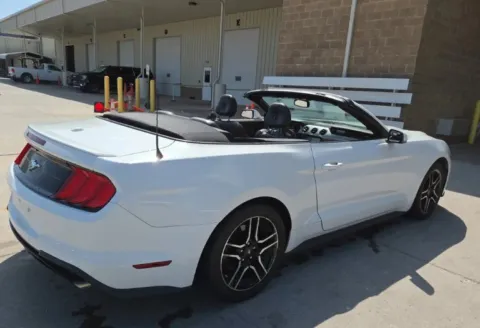 More photos of 2019 Ford Mustang EcoBoost Premium at Sign It Drive It, TX