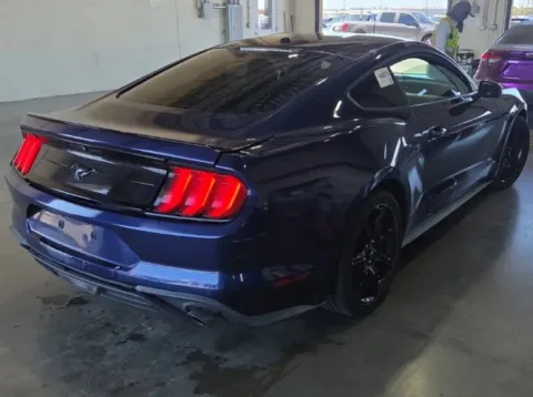 More photos of 2019 Ford Mustang EcoBoost Premium at Sign It Drive It, TX