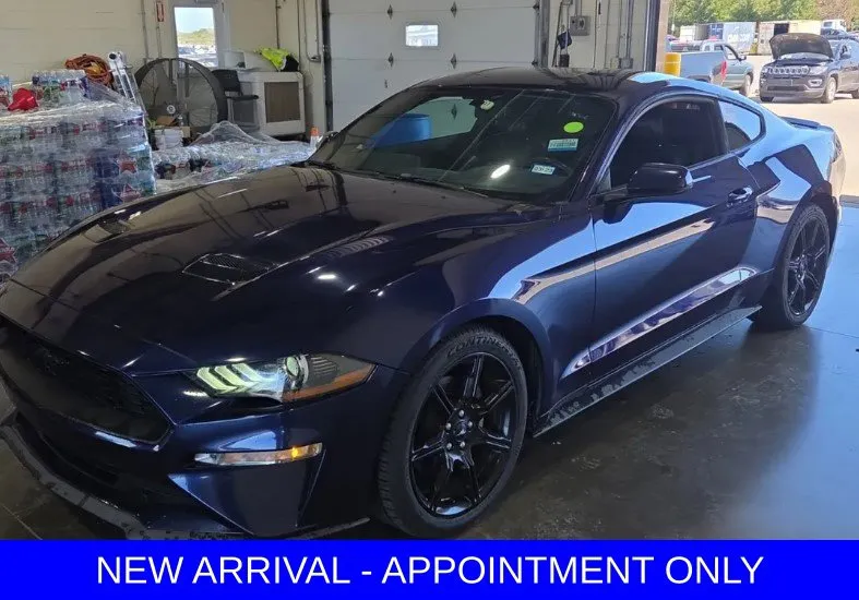 Blue 2019 Ford Mustang EcoBoost Premium for sale in Denton, TX