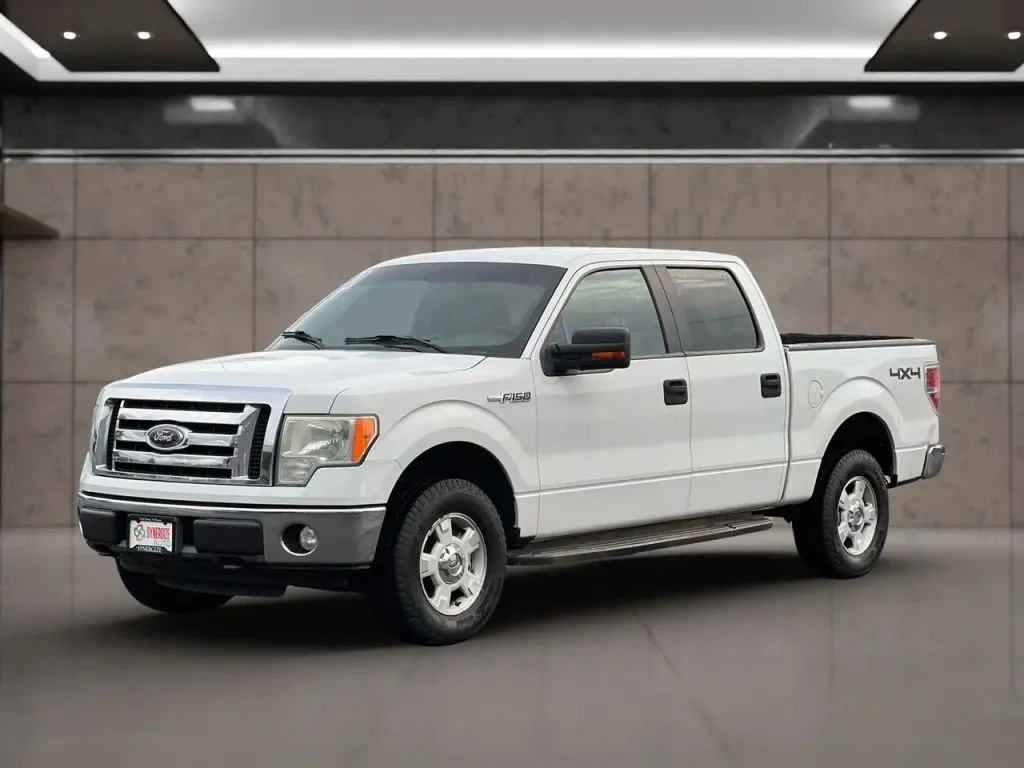 2010 Ford F-150 XL's photo