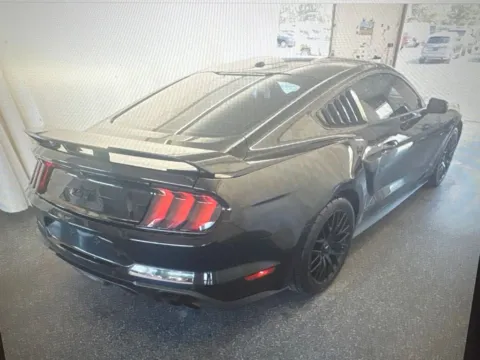 Another view of 2019 Ford Mustang GT for sale in Milford, CT at Car Central Milford