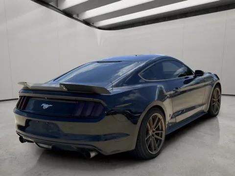More photos of 2016 Ford Mustang EcoBoost at Dallas Direct Auto, TX