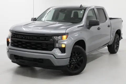 Gray 2024 Chevrolet Silverado 1500 Custom for sale in Clinton, MO