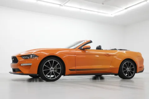 Photos of 2020 Ford Mustang EcoBoost Premium for sale in Clinton, MO at Jim Falk Motors