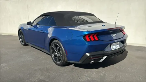 More photos of 2024 Ford Mustang EcoBoost at Fiesta Ford, Inc., CA
