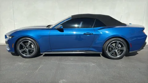 More photos of 2024 Ford Mustang EcoBoost at Fiesta Ford, Inc., CA