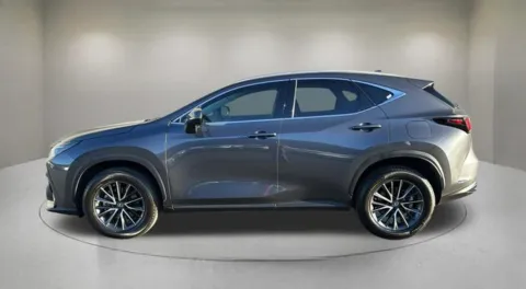 More photos of 2023 Lexus NX 350 Premium at Fiesta Ford, Inc., CA