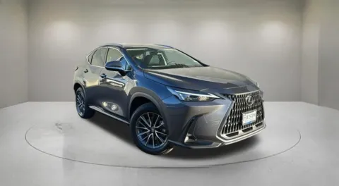 Gray 2023 Lexus NX 350 Premium for sale in Indio, CA