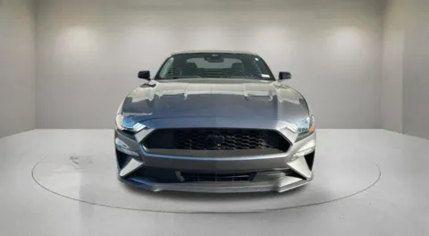 Photos of 2023 Ford Mustang EcoBoost for sale in Indio, CA at Fiesta Ford, Inc.