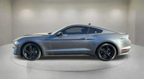 More photos of 2023 Ford Mustang EcoBoost at Fiesta Ford, Inc., CA