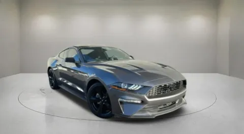 Gray 2023 Ford Mustang EcoBoost for sale in Indio, CA