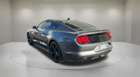 More photos of 2023 Ford Mustang EcoBoost at Fiesta Ford, Inc., CA