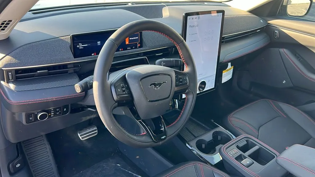 Ford Mustang Mach-E photo 12