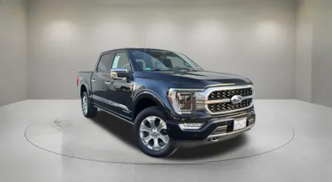 Black 2023 Ford F-150 Platinum for sale in Indio, CA