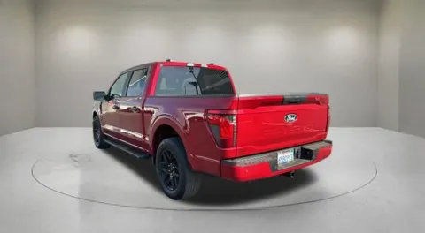 More photos of 2024 Ford F-150 STX at Fiesta Ford, Inc., CA