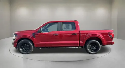 More photos of 2024 Ford F-150 STX at Fiesta Ford, Inc., CA