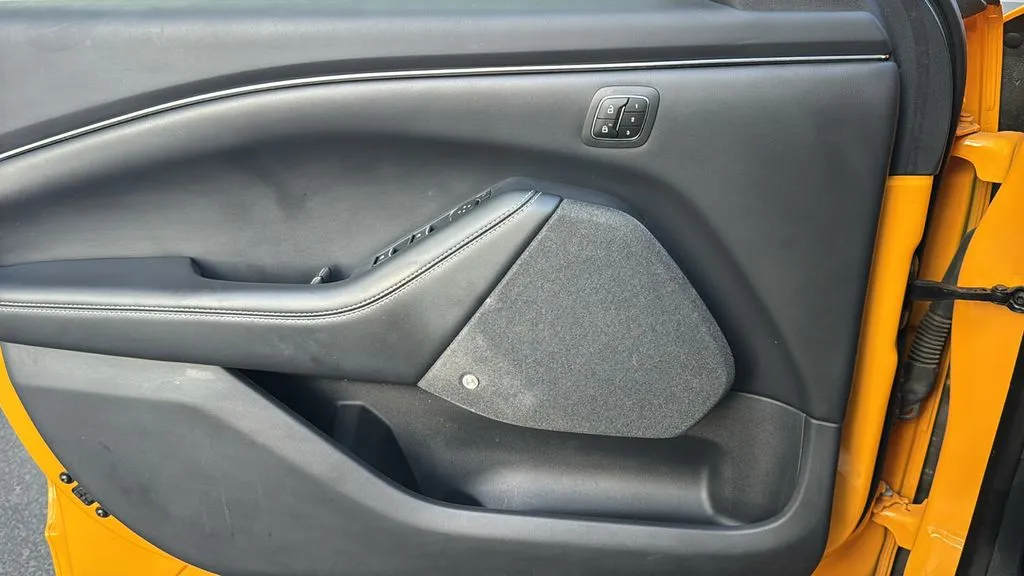 Ford Mustang Mach-E photo 19