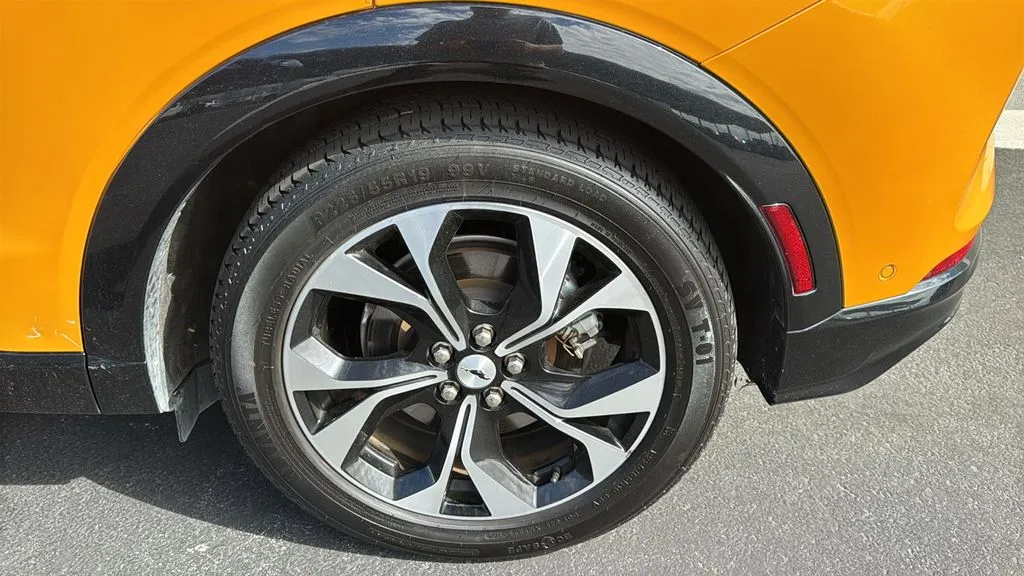 Ford Mustang Mach-E photo 9