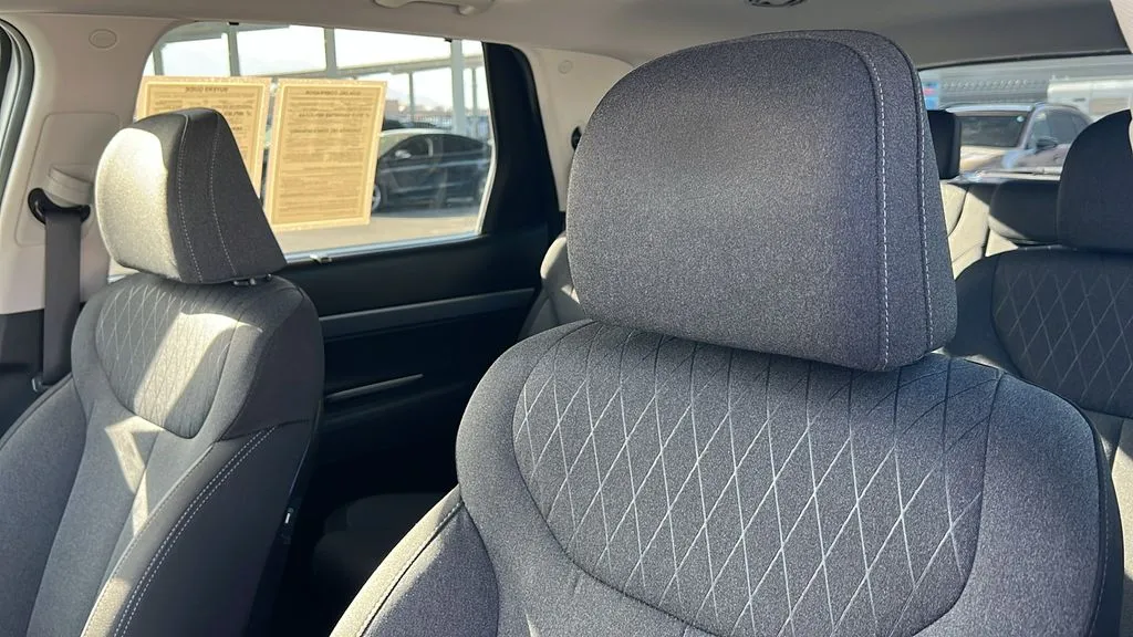 Hyundai Palisade photo 14