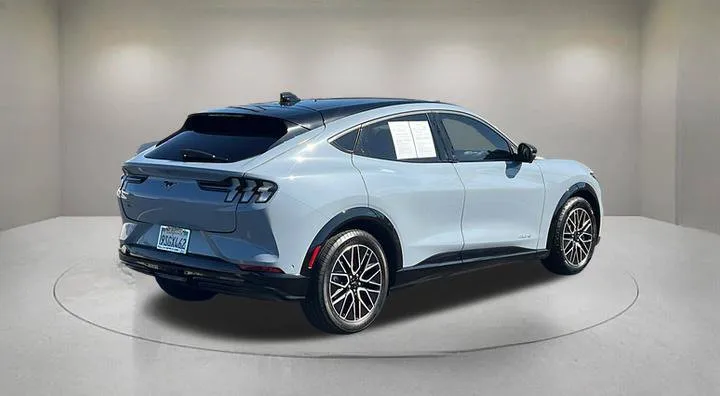 Ford Mustang Mach-E photo 5