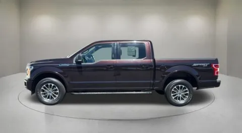 More photos of 2019 Ford F-150 XLT at Fiesta Ford, Inc., CA