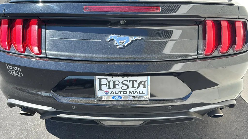 Ford Mustang photo 7