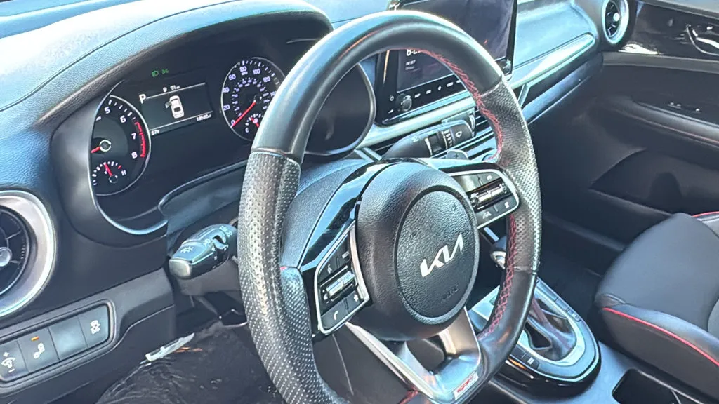 Kia Forte photo 21