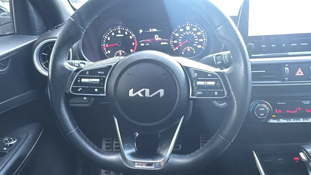 Kia Forte photo 10