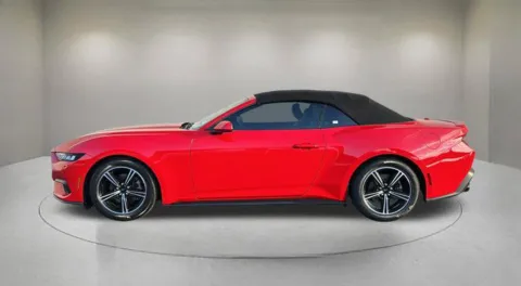 More photos of 2024 Ford Mustang EcoBoost Premium at Fiesta Ford, Inc., CA