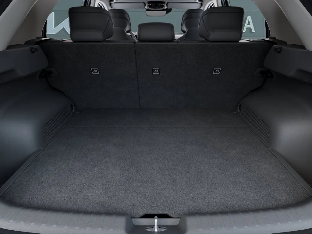 Kia Niro photo 21
