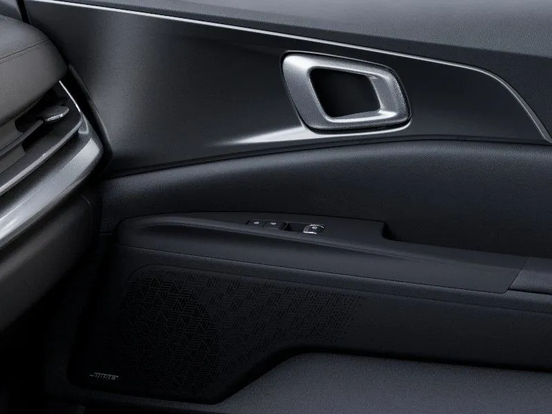 Kia Carnival photo 27