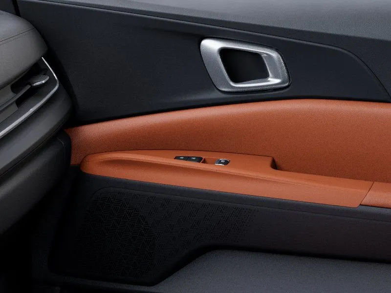 Kia Carnival photo 27