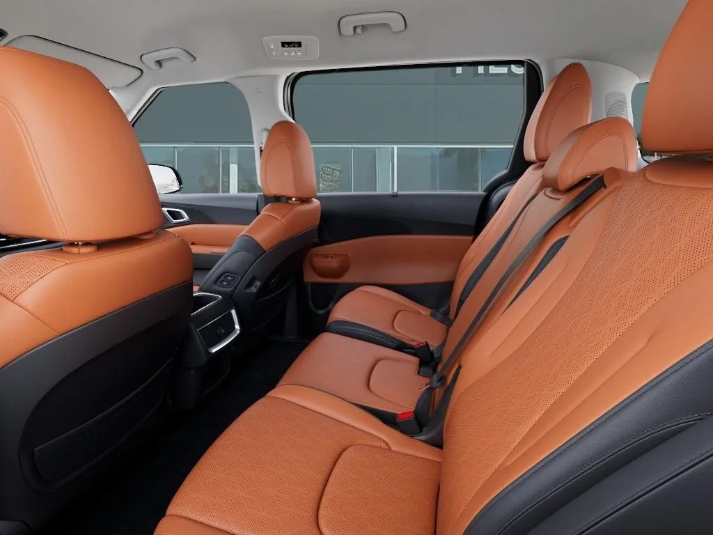 Kia Carnival photo 20