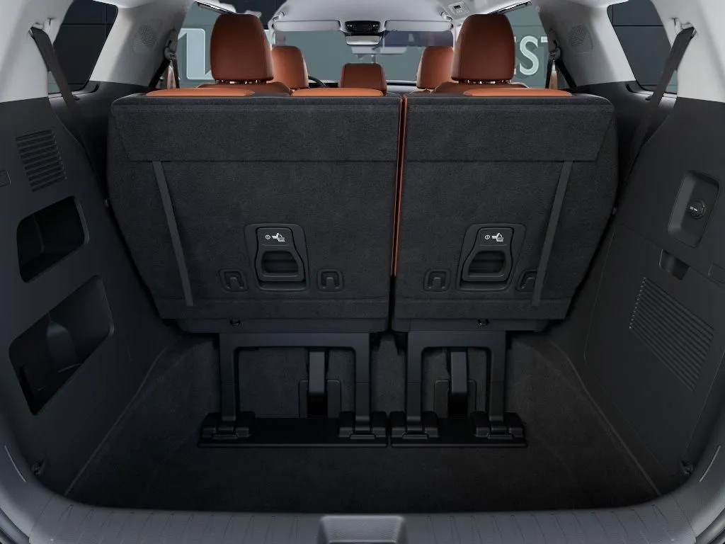Kia Carnival photo 21