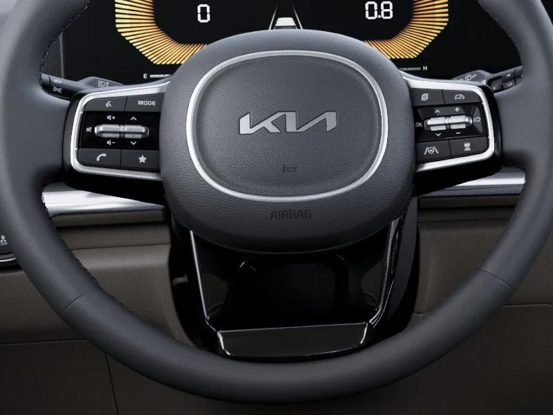 Kia Carnival photo 24