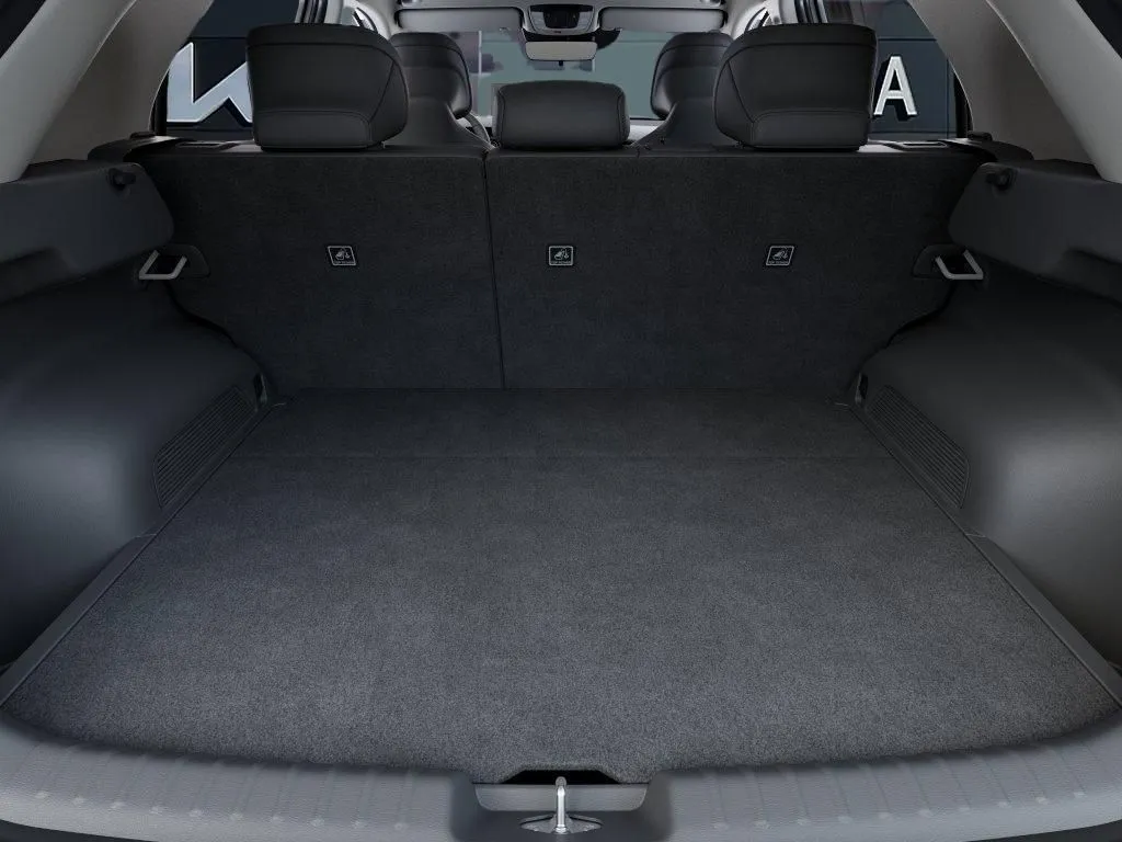 Kia Niro photo 21