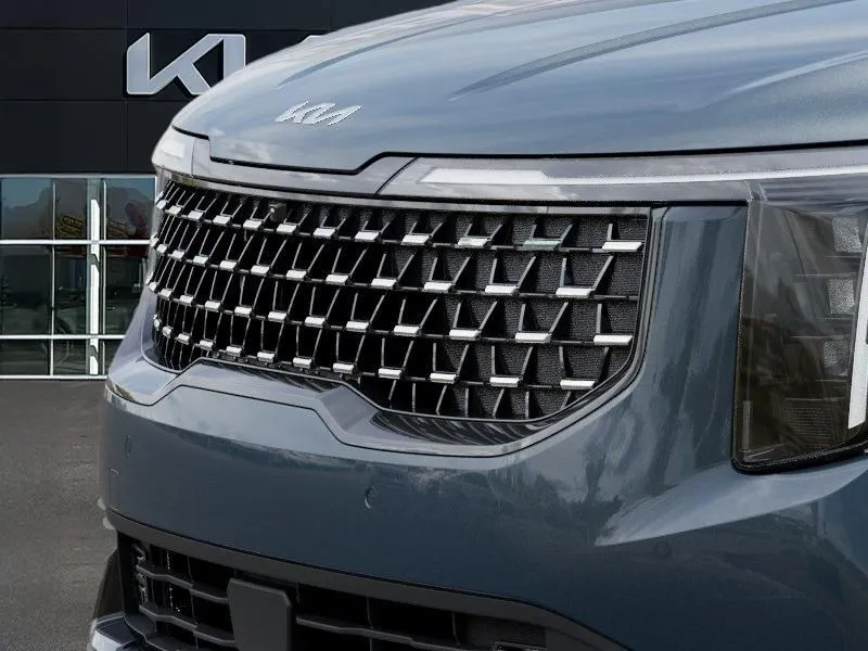 Kia Carnival photo 14