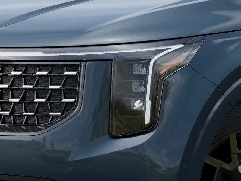 Kia Carnival photo 11