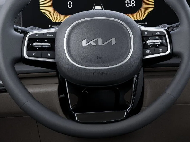 Kia Carnival photo 24