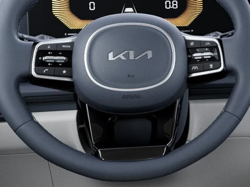 Kia Carnival photo 24