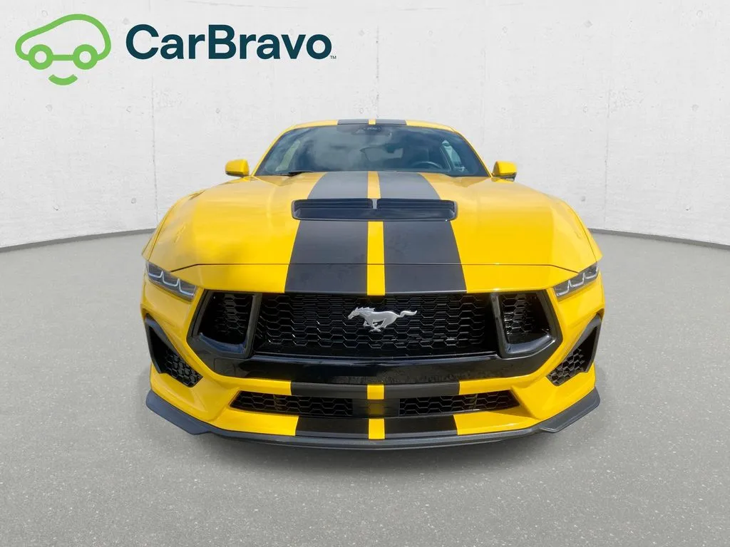 Ford Mustang photo 31